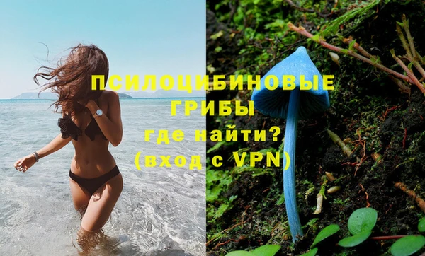 скорость mdpv Богородск